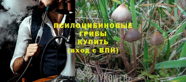 гидропоника Елизово