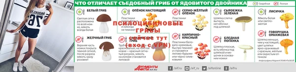 прущие крисы Заводоуковск