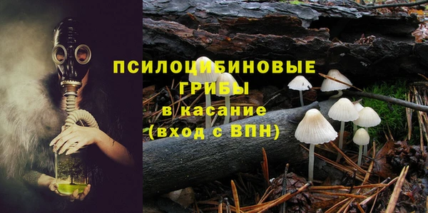 трава Елабуга