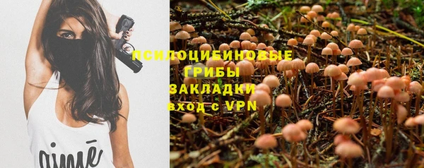 ГАЛЛЮЦИНОГЕННЫЕ ГРИБЫ Заволжск