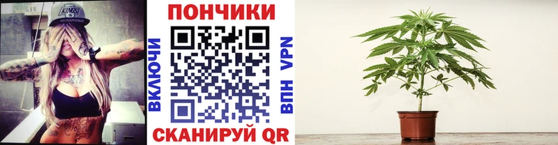 Шишки марихуана семена  Альметьевск 